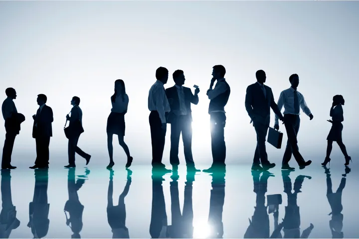 Experts and Qualifications