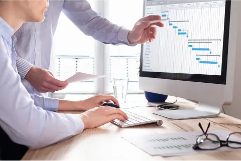 Project Management Capability