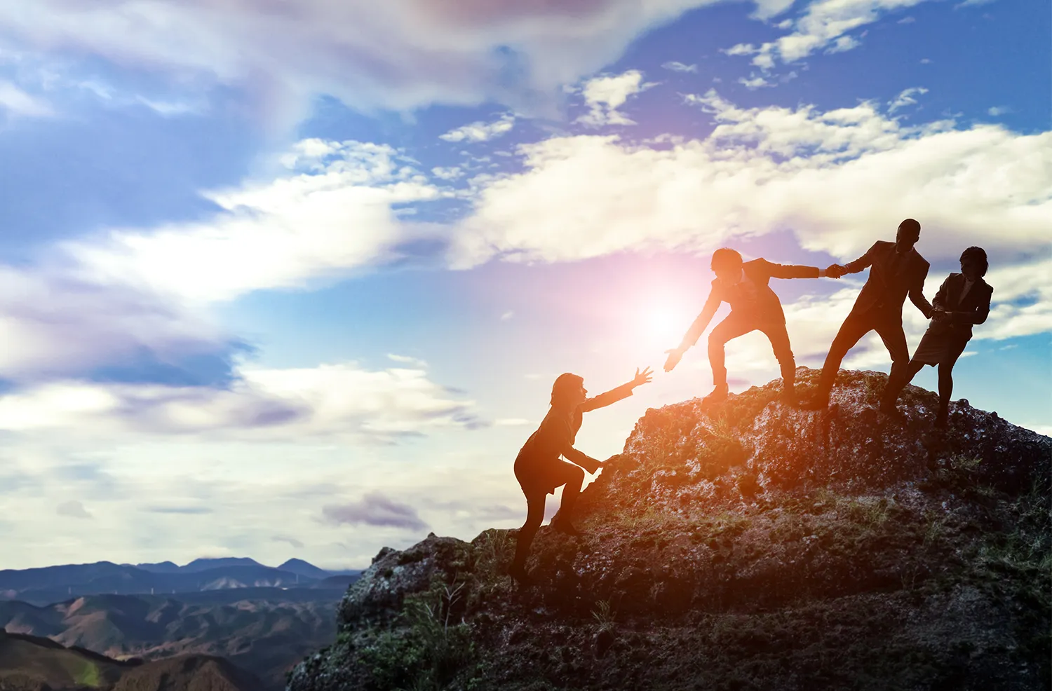 Career  The Collective Wisdom