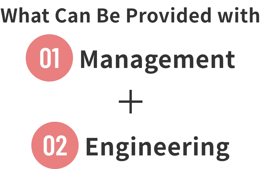 What Can Be Provided with 01 Management + 02 Engineering