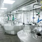 Large-Molecule (Biopharmaceutical) API