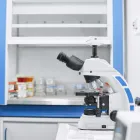 Regenerative Medicine