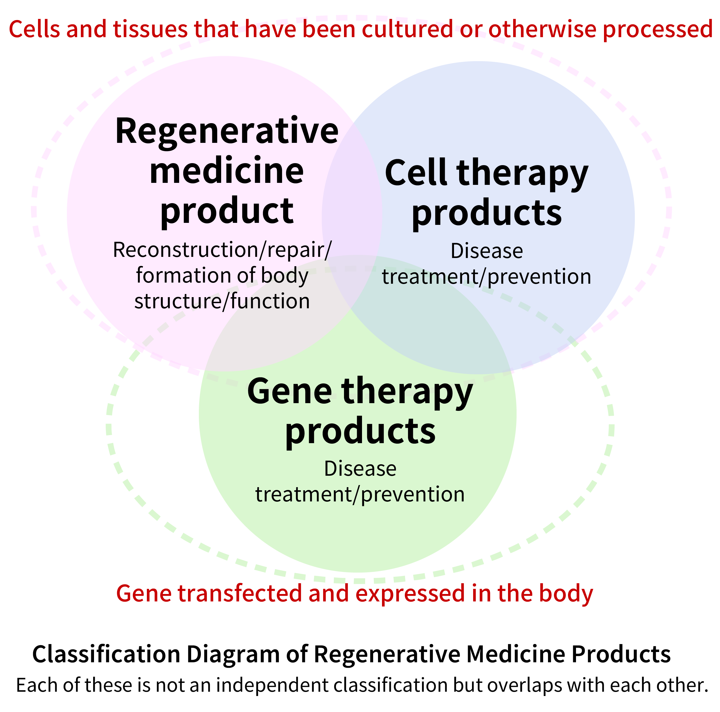 What is a regenerative medicine products?Classification under the Pharmaceutical and Medical Device Act