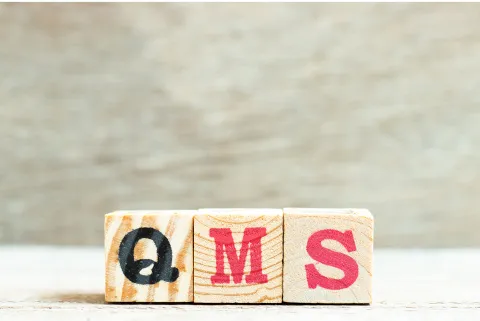 QMS/GCTP Consulting