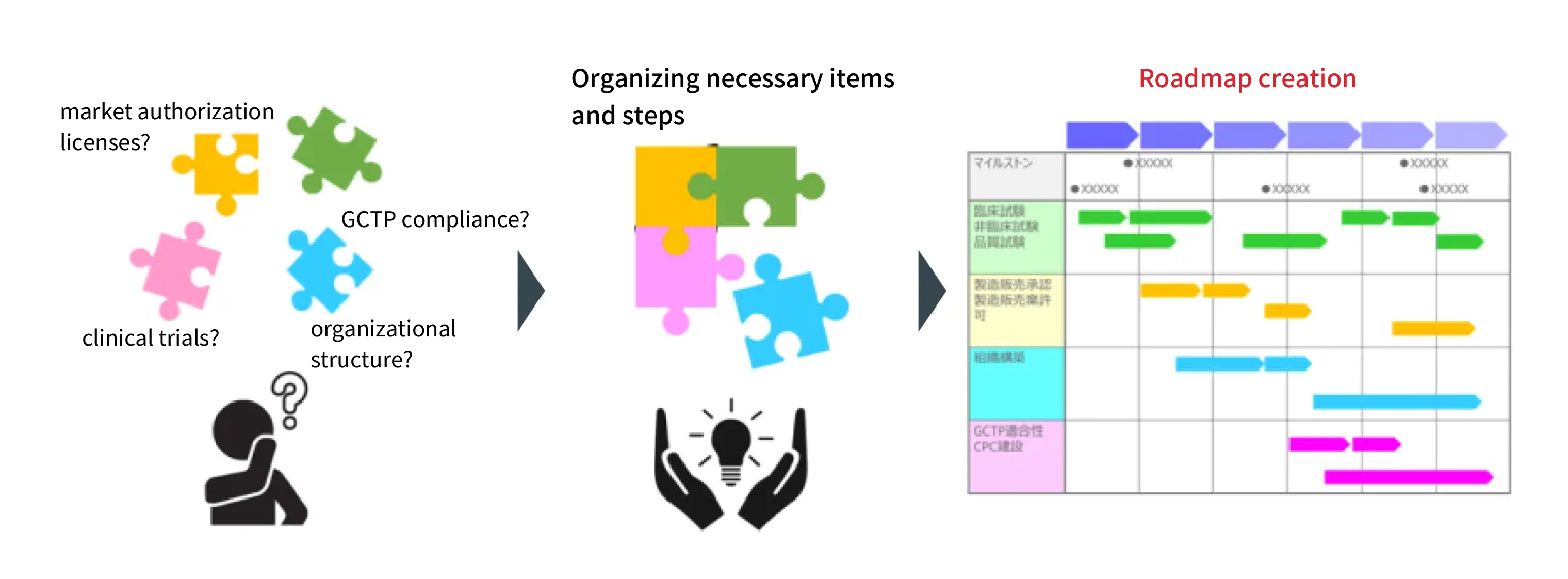 Drafting a Roadmap for Regenerative Medicine Business and Development Plans