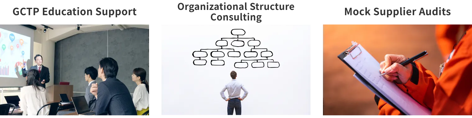 GCTP Education Support Organizational Structure Consulting Mock Supplier Audits