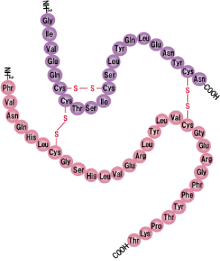 API dược phẩm peptide