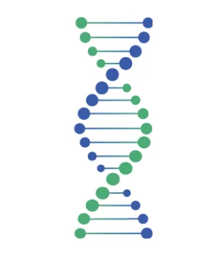 API dược phẩm axit nucleic