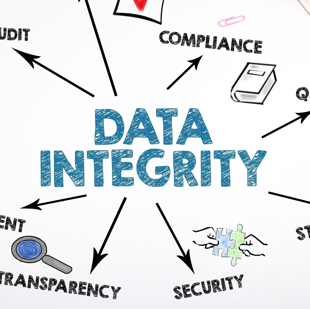 Consulting Data Integrity (DI) Consulting